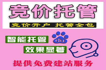 谷歌竞价广告优化技巧及某行业成功案例